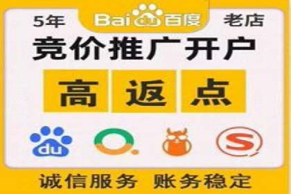 百度竞价账户托管的技巧与策略：从入门到精通的案例解析